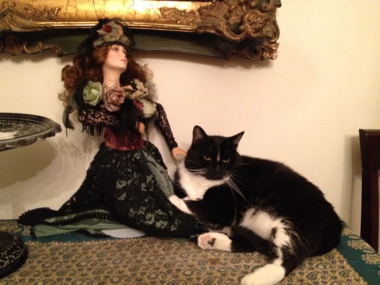 Leila & The Doll